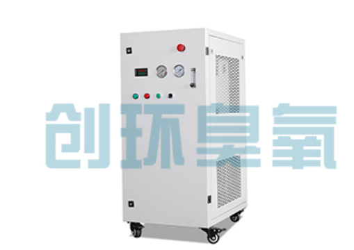 池州石斑鱼养殖水质调控完整指南:臭氧发生器配置与操作步骤