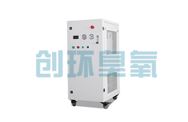池州比传统换水更高效?臭氧发生器在石斑鱼养殖中的水质净化原理解析